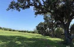 0 Weeks Road, Foley, AL 36535