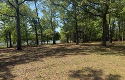 164 Griffith Drive, Ft. Gaines, GA 39851