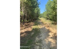 448 Attala Rd 4005, Goodman, MS 39079
