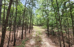 4 TBD Bear Creek 40 Acres, Talihina, OK 74571