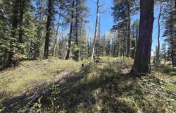 331 Beaver Circle, Durango, CO 81301
