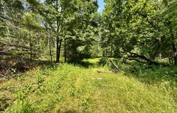 99/Ac Tbd Nw Of Copperhead Hollow Road, Mountain City, TN 37683