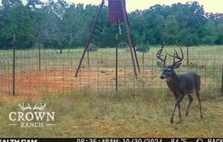 Tbd FM 908 (+/-657 acres), Caldwell, TX 77836
