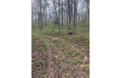 1900 Madison 238, Fredericktown, MO 63646