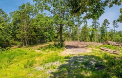 Tract 5 Harmony Mountain Road, Clinton, AR 72031