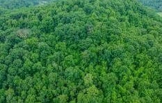 0 North Turkey Cove North Of 58a, Big Stone Gap, VA 24219