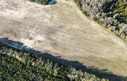 Tbd 5.34 Acres, Manning, SC 29102