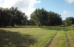 W LAKE YALE Road, UMATILLA, FL 32784