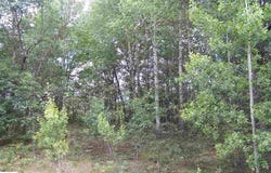 TBD N Circle E, Farwell, MI 48622