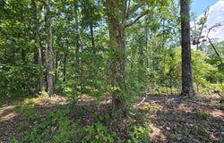 ELAM Way, Savannah, TN 38372