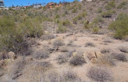 15210 E Stardust Drive, Fountain Hills, AZ 85268