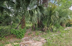 4360 E Nugget Pass Place, Dunnellon, FL 34434
