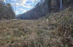 Mill Creek, Fort Gay, WV 25514