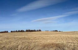 TBD Road 7 West, Bushnell, NE 69128