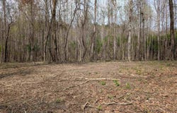 Lot 3 RIVER CREST DRIVE, CORDOVA, AL 35550