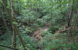 Lot 14 Hideaway Bay, Fountain Run, KY 42133