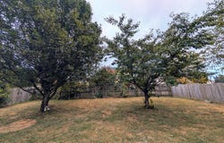 113 Kenton Court, Nicholasville, KY 40356
