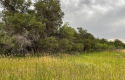 Barry Court, Colorado City, CO 81019