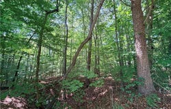 Cemetery Street lot: 43, Ronda, NC 28670