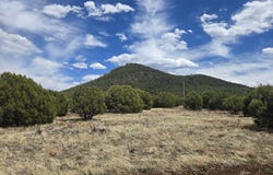 CR 3144, Pinetop/Lakeside, AZ 85935