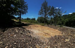 219 Cedar Ave, Luttrell, TN 37779