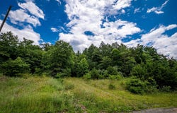 Lot 10 STAR TANNERY ROAD, STAR TANNERY, VA 22654