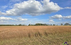 16 Hay Field, Cochran, GA 31014