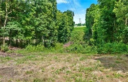 Bozarth Cemetery  RD, Gentry, AR 72734