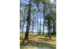 0 Highway 58 N, Trenton, NC 28585