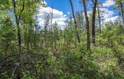 Lot 29 Beach Drive, New Lisbon, WI 53950