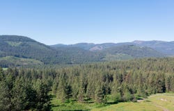 360 BARNABY CREEK RD, INCHELIUM, WA 99138
