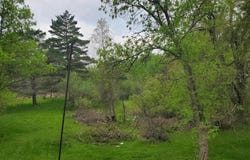 205 Highland, West Branch, MI 48661