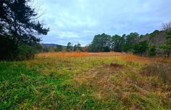 20288 State Highway 63, Hogen, OK 74939