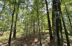 1 Rockport Rd, Lexington, MS 39095
