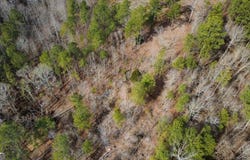 Lot 108 Blalock Mountain, Talking Rock, GA 30175
