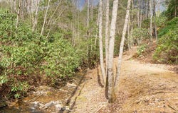 325 Trickling Branch Way, Murphy, NC 28906