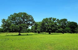 Tbd HCR 1450 N, Covington, TX 76636