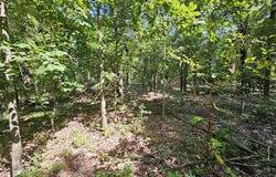 65 Acres Plainview Road, Anderson, MO 64831