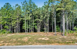 SHORESIDE DR lot: 54, Double Springs, AL 35553