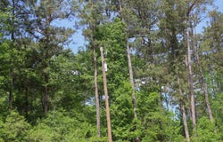 000 T.B.D., Dodson, LA 71422