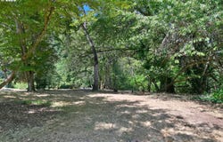 1 Storey Blvd, Eugene, OR 97405