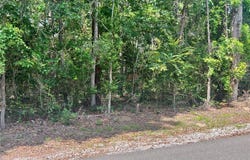 Ashborough Drive, Cottondale, AL 35453