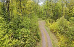 On FR 8300, Marenisco, MI 49947
