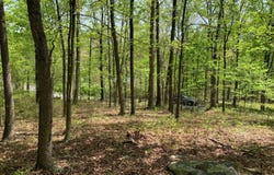 WOODMONT ROAD, GREAT CACAPON, WV 25422