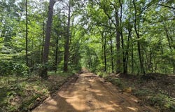 3 TBD Blackfork Ln, Hodgen, OK 74939