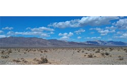 101 Screech Owl Road, 29 Palms, CA 92277