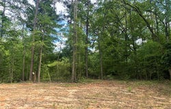 TBD Woodland Oaks Drive, Garrison, TX 75946