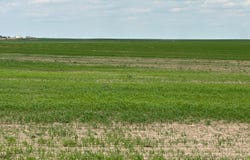 Cope, CO 80812