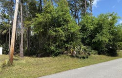 19 WASSERMAN DRIVE, PALM COAST, FL 32164