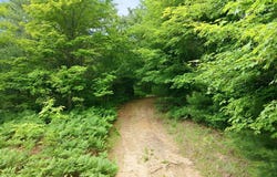 3982 SE Mitchell Road, Kalkaska, MI 49646